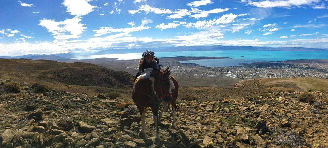 horse_experience