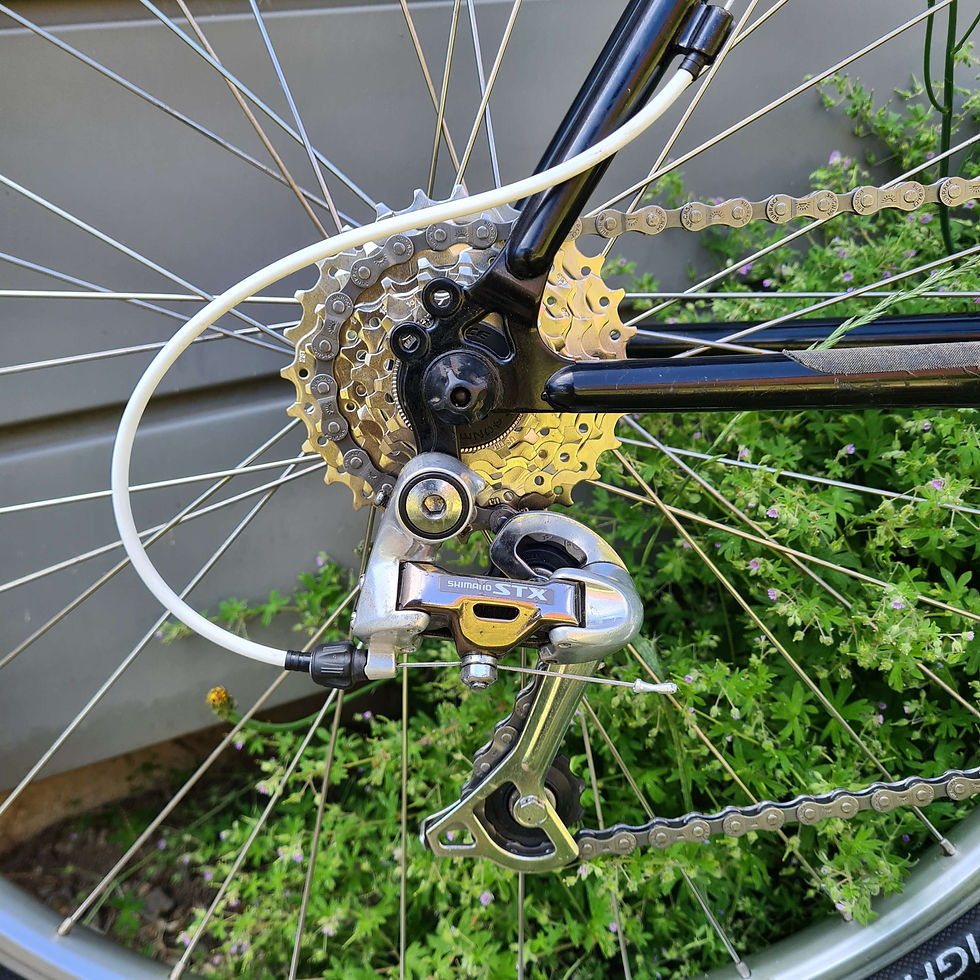 Miniature : Trek piste de montagne 850