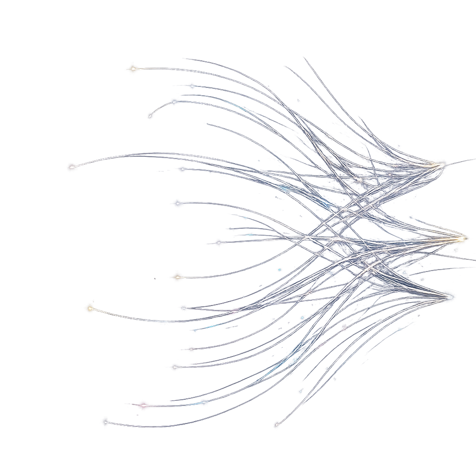 Dynamic light trails representing organisational performance consultancy solutions.