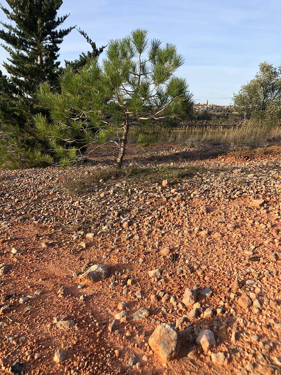 Terre calcaire contenant du fer, lui donnant sa couleur ocre
