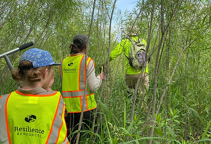 South Fork Crow Picture.jpg