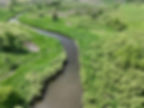 Kingston wetland 3.jpg