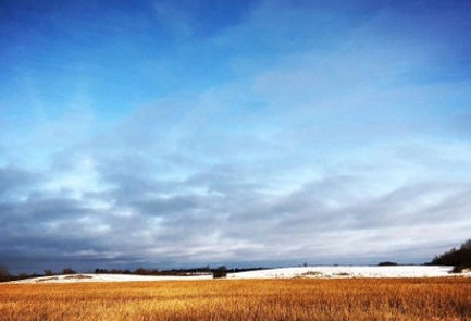 gary ellis wetland restoration 3.jpg
