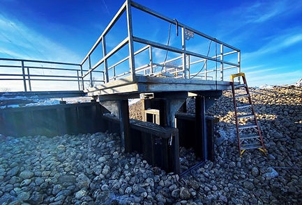 gary ellis wetland restoration 2.jpg