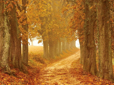 🌈 Soyez vous-même ‼️