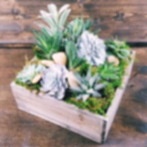 Succulent Garden - Large