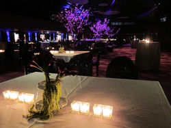 0001j KC Creations Weddings and Events Wolf of Wall Street premiere.jpg