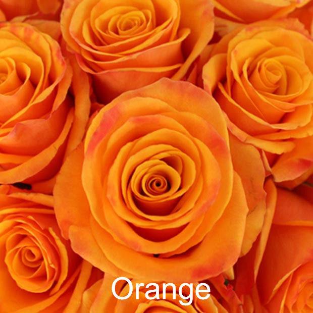 Thumbnail: Roses-2 Dozen