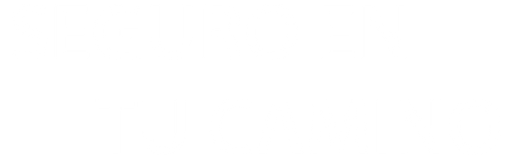 SEGURO EN TU CAMINO.png