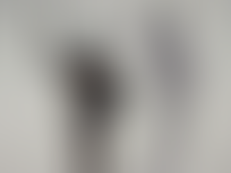 DENIM TEARS hackea la ESTATUA DE LA LIBERTAD