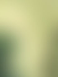 LOEWE Perfumes: cuando el arte huele a marihuana (y a tomate ardiente)