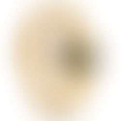 MM6 MAISON MARGIELA x TIMEX FW25: cuando la hora se convierte en dorada