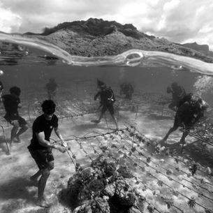 PRADA GROUP y UNESCO lanzan SEA BEYOND para salvar nuestros océanos