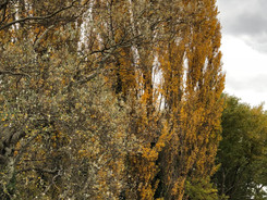 IMG_2304.jpeg