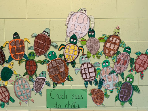 Our classroom turtles...