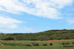 Ribeira D'Ilhas
