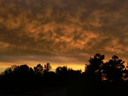 Por-de-Sol
