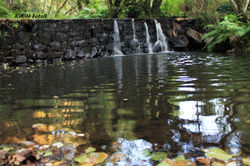 Ribeiras no Arripiado