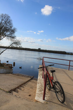 Tejo