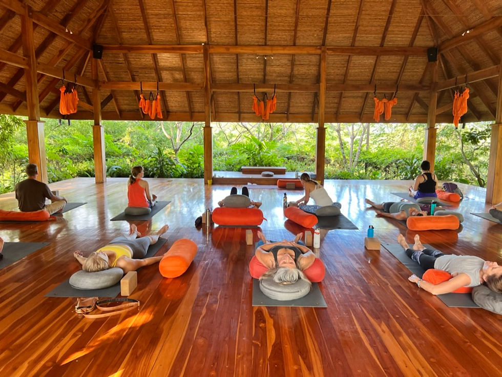 Discover Mindfulness: Yoga Retreats for Busy Women