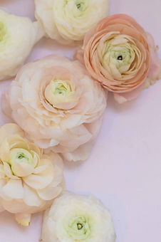 Floral decor detail shot, with beauty, for at The Clayton house in Phoenix, AZ wedding.
