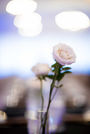 A beautiful wedding portrait in a stunning location.