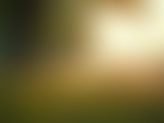 Lebenskunst: Lebe verbunden und frei mit Louise Lilith