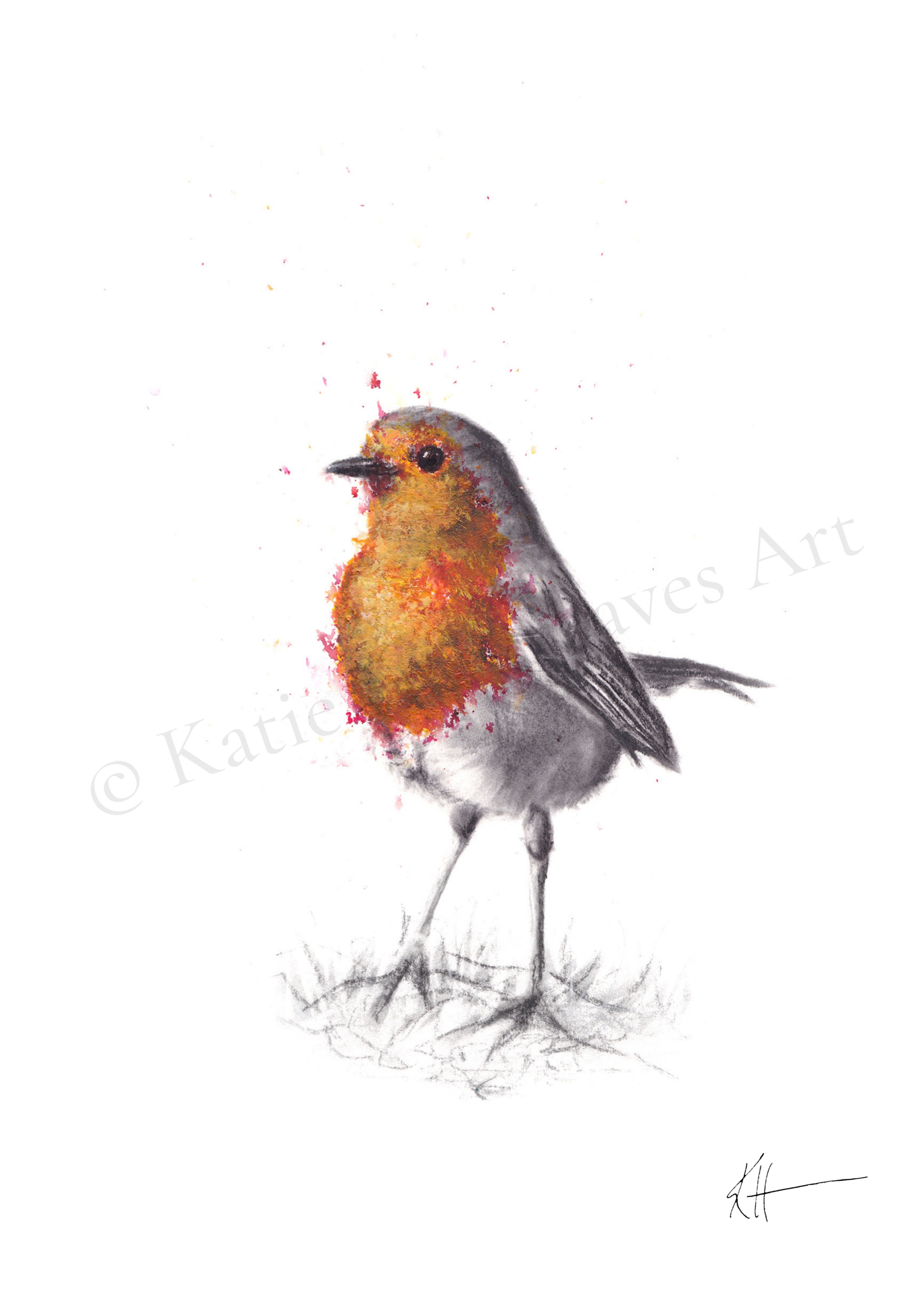 'Robin' Card
