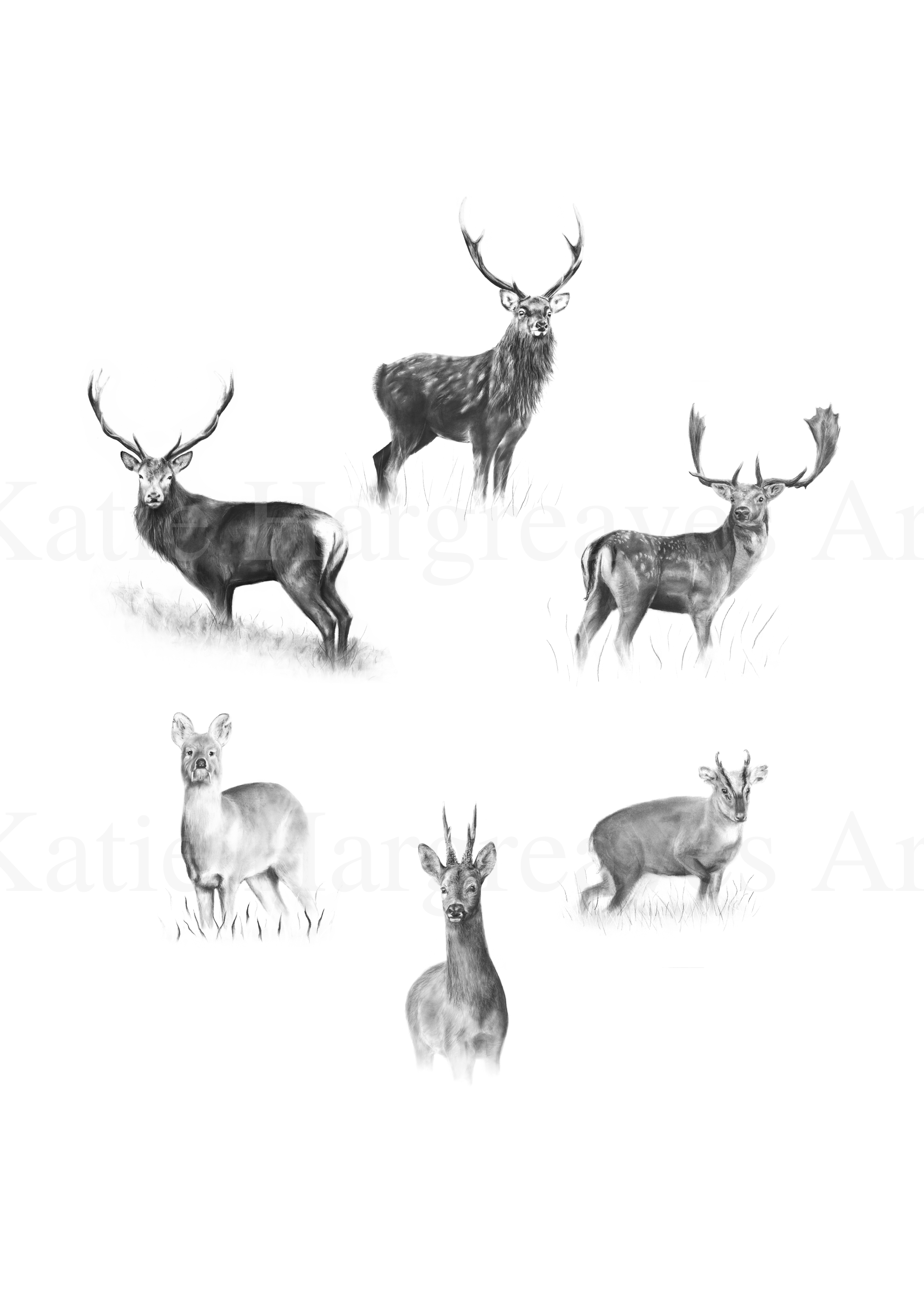 'The British Six' - Old Version