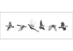 'The Flying Six'