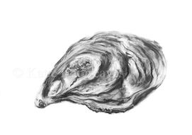 oyster.jpg