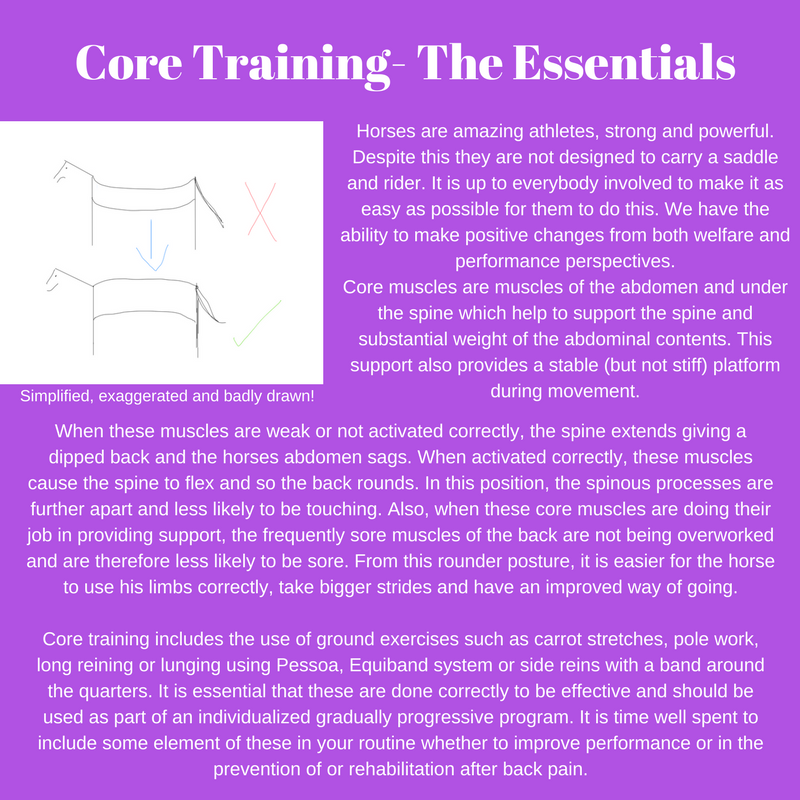 core training for horses