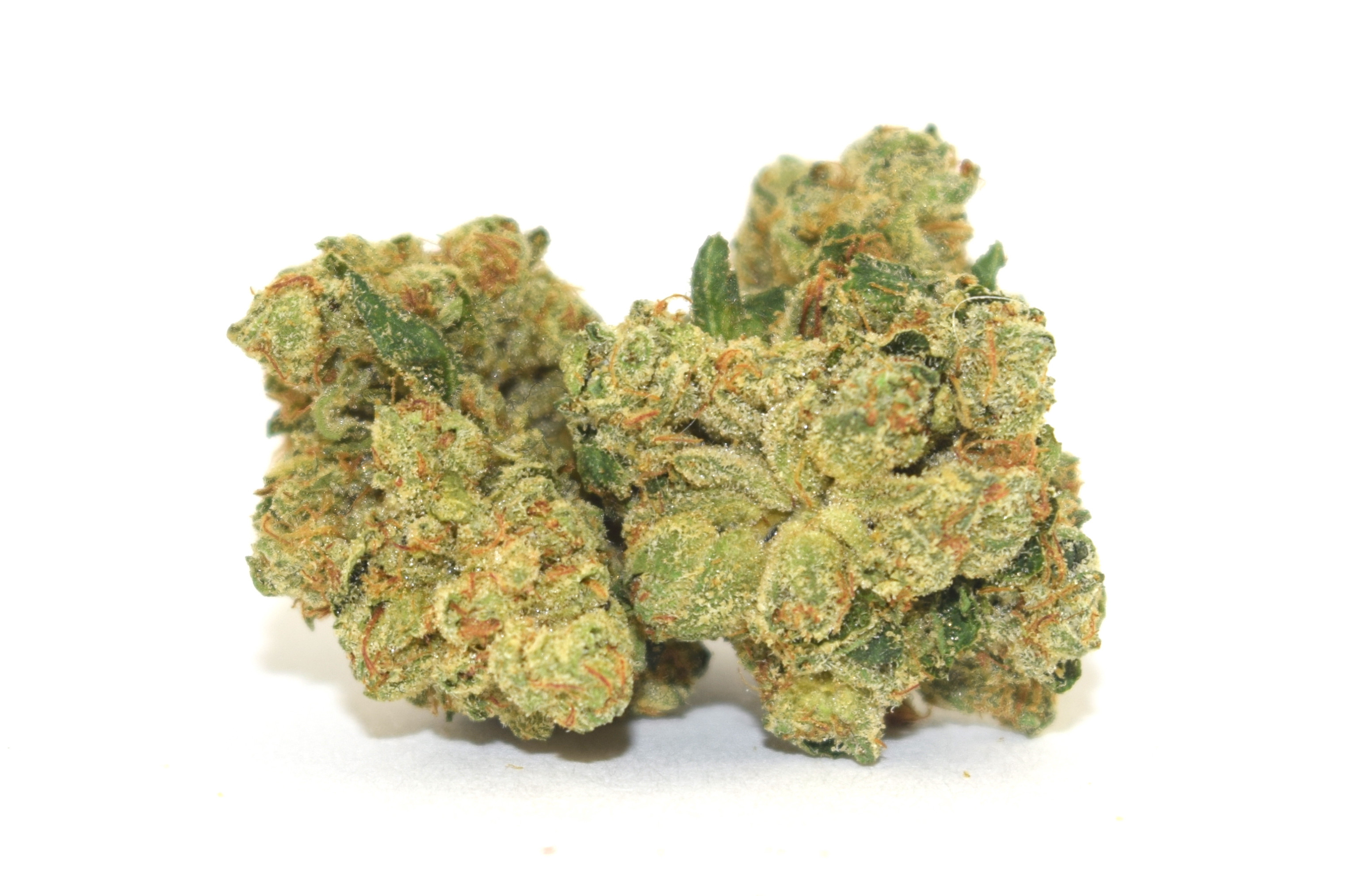 Og Kush