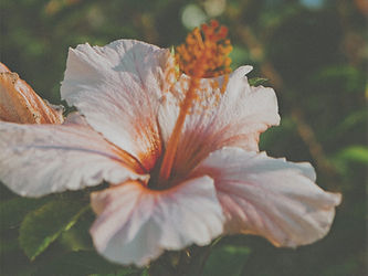 6DB1FDCB-40F0-4A3E-BFB6-60665596E9ED_edited_edited.jpg