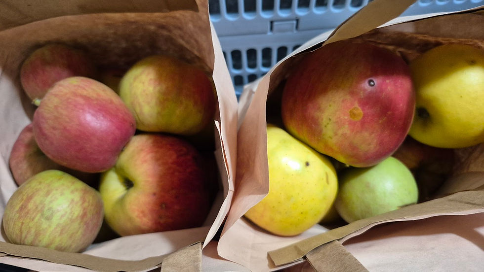 Blue Roof Orchard "2nds" apples.