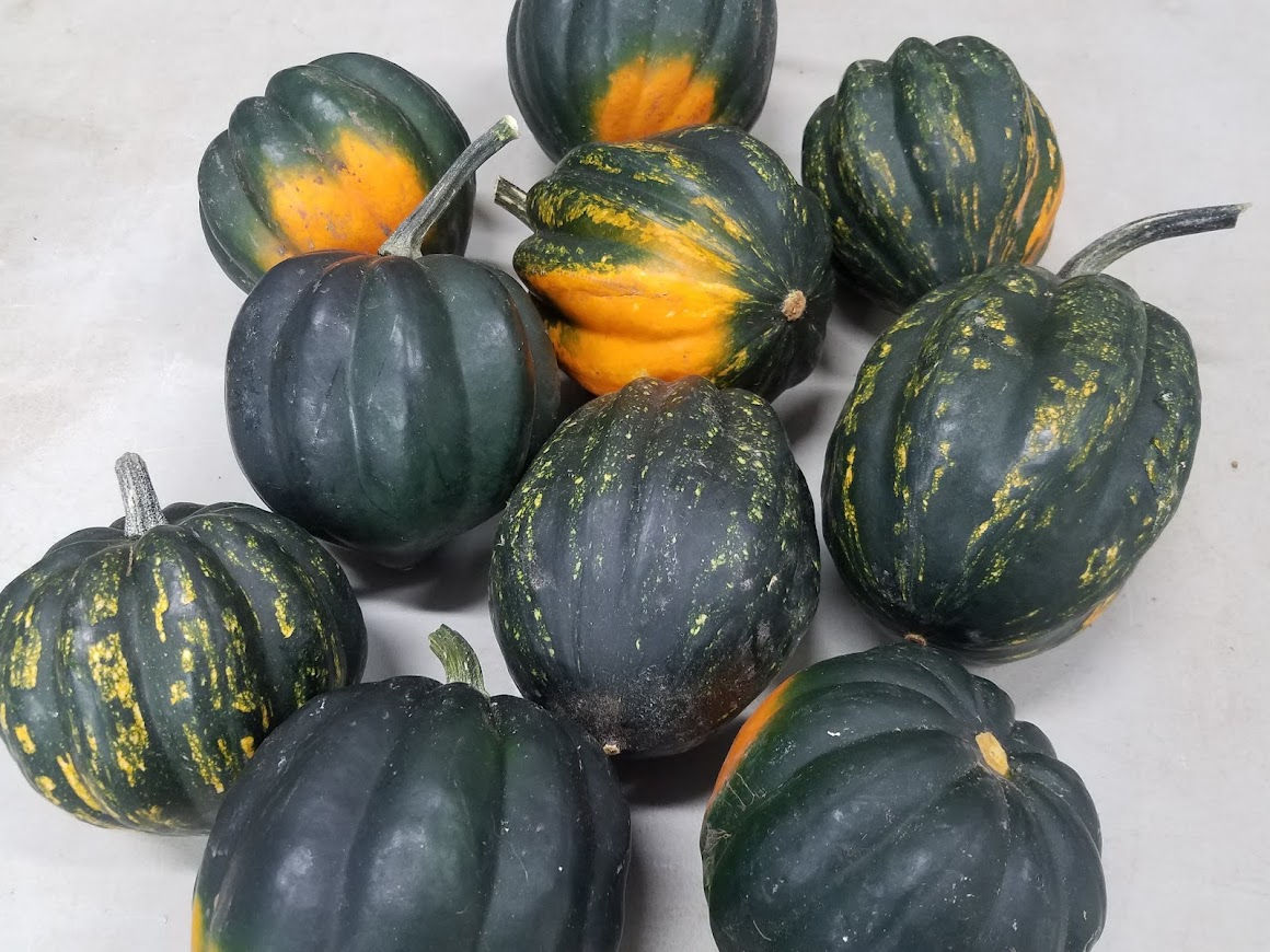Acorn Winter Squash