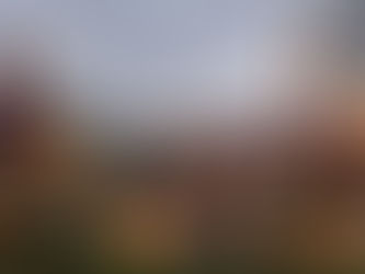 Summer #21 CSA Newsletter October 19 - 25, 2025