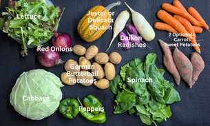 Winter #1 CSA Newsletter Week Nov 3-9, 2024