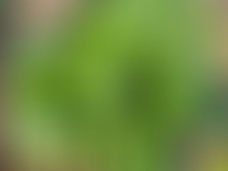 Winter CSA Newsletter Week #16, February 25 - March 2, 2024 “B” week