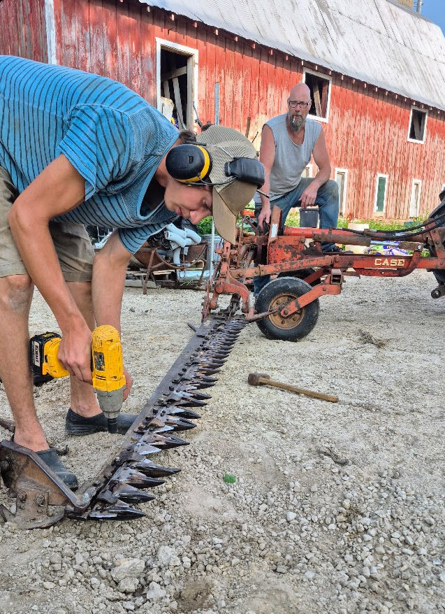 Summer #8, 9, 10 CSA Newsletter July 19 - Aug 8, 2026