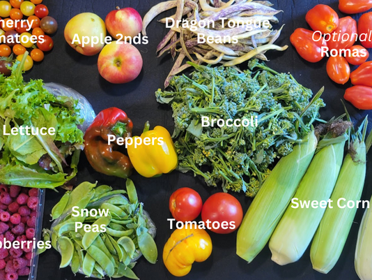 Summer #14 CSA Newsletter Week Sept 1 -7, 2024  “B" week