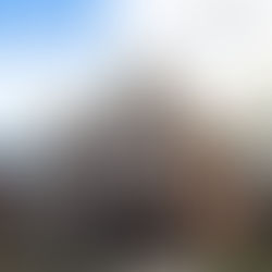 JUST CLOSED – 9-Unit Building Sold Off Market In East Humboldt Park!