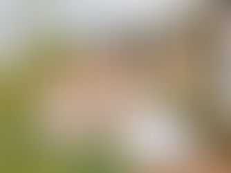 Irene & Lukes Wedding