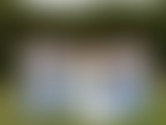 Erin & Matt's Wedding 