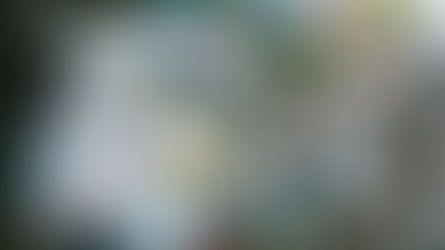 방충망, 제습기 등 한국의 여름철/장마철 필수 거주 아이템