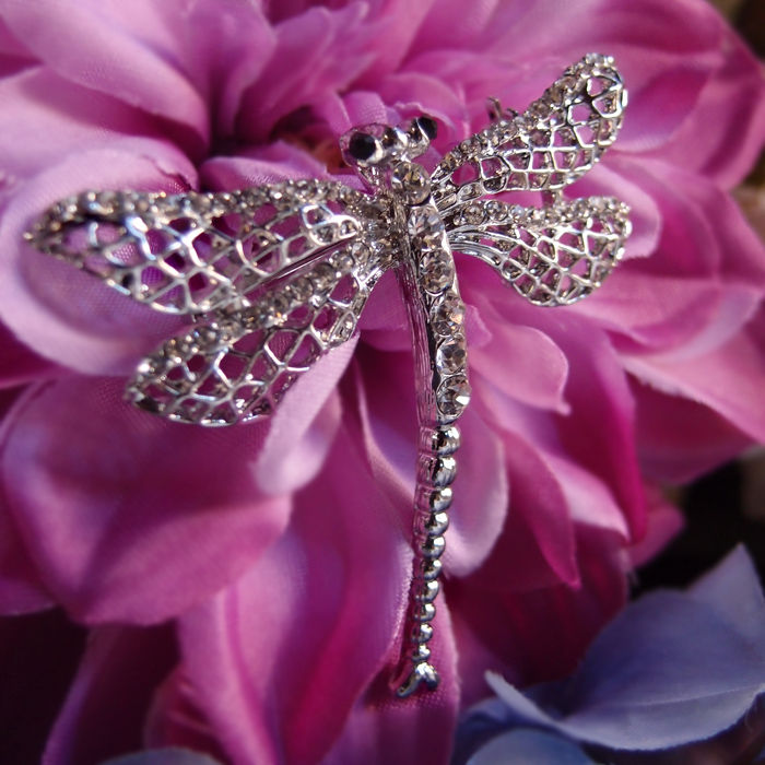 Dragonfly Brooch
