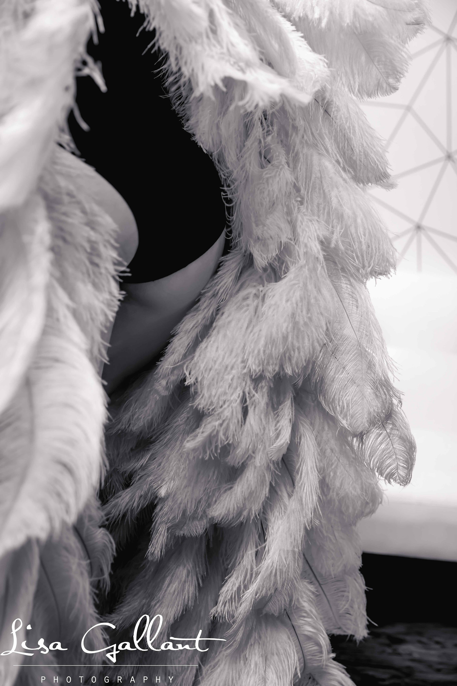 boudoir-charleston-summerville-goose creek- moncks corner- orangeburg-south carolina