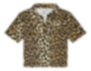 SAINT TROPEZ POLO LEO