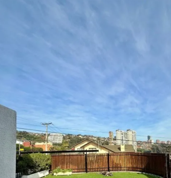 Miniatura: #1011 Viña del Mar