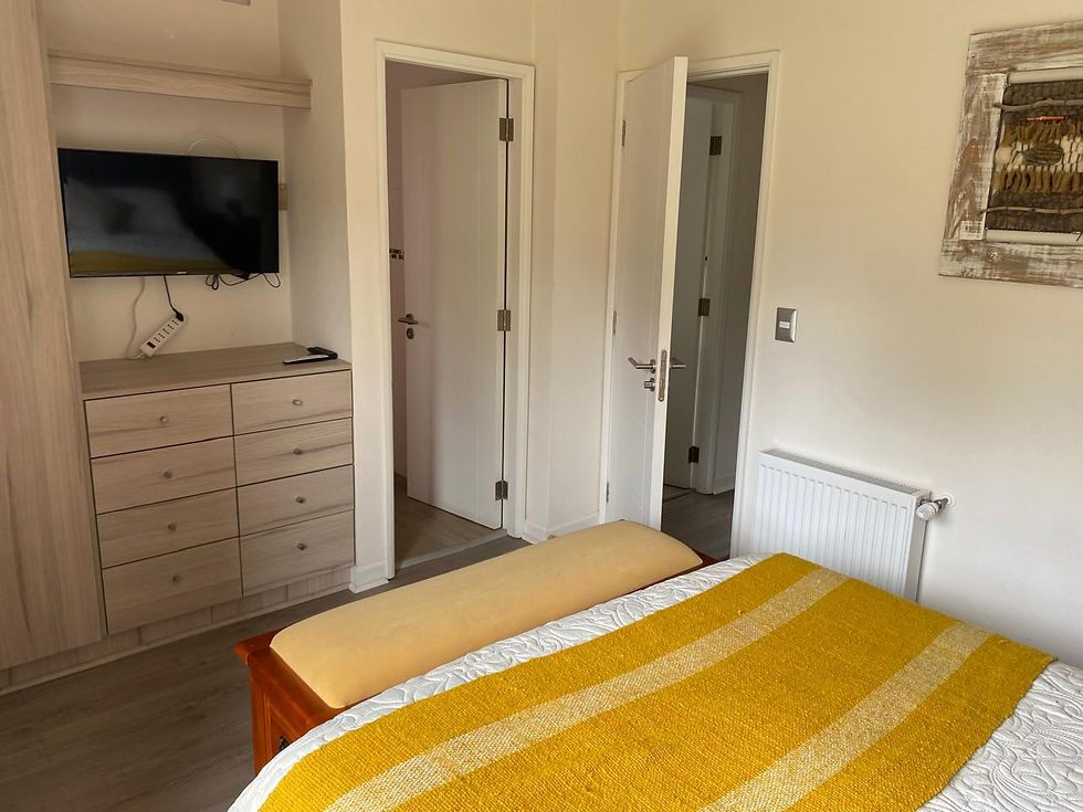 Miniatura: S016 Pucón